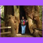 Gail Inside Tree.jpg